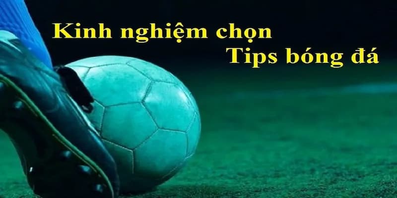 So sánh Tip bóng đá miễn phí và tip trả phí