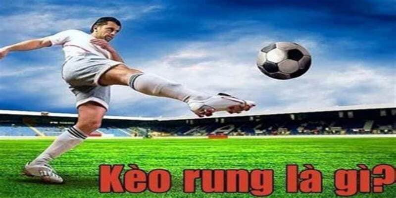 Vì sao kèo rung được ưa chuộng tại 789club?